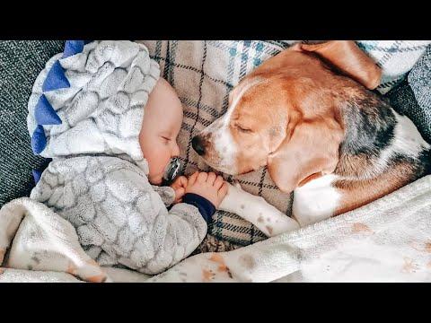 Dog And His Baby Brother Share Every Milestone Together #Video