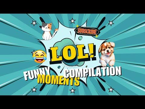 Funny, hilarious pet videos. This dog almost ripped the owner's hair. Watch until you see it! #Video
