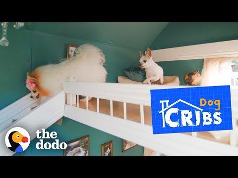 Take a Tour of The Most Luxurious Dog Houses Ever | The Dodo