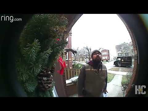 Squirrel jumps on UPS delivery man video