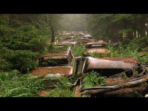 Abandoned 70-year-old Traffic Jam. You Haven't Seen This Before!