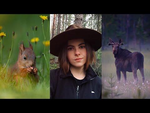 Life in Sweden: Baby Squirrels, Photographing Moose & Updates | Diaries of a Wildlife Photographer #