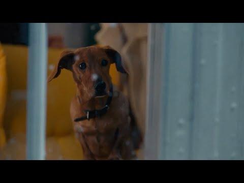 IKEA - Hej Hej Hej! (2024 Christmas Ad) #Video