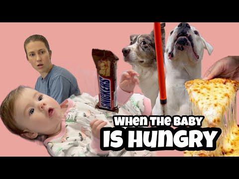 When the Baby is Hungry - Layla The Boxer #Video