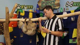There's A New Referee At Puppy Bowl XIV