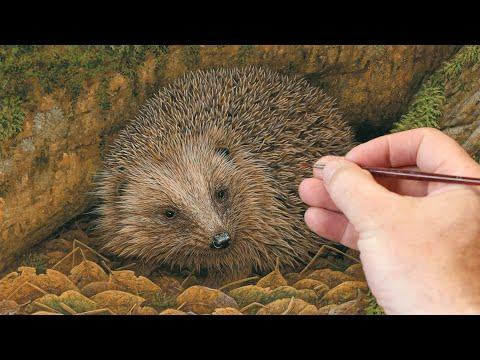 The Art of Painting a Hedgehog | Wildlife Art | Robert E Fuller #Video