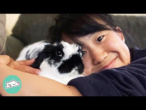Woman Went to Get a Table But Came Home With a Bunny #Video