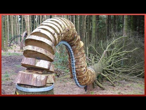 Dangerous Tree Cutting Skills With Chainsaw And Heavy Logging Equipment #Video