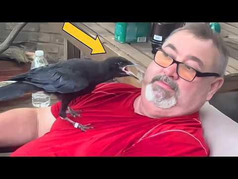 Animals and Humans Share the Funniest Moments Ever #Video