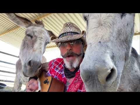 Two Donkeys Love Cherry Life Saver Song. Hazel & Lilly the Donkey #Video