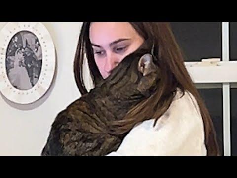 Abandoned cat hugs human who gave her home #Video
