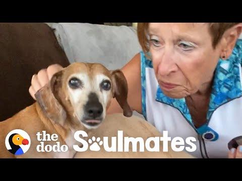 Pup Is Much Less Stubborn On Walks With Grandma Than With Mom Video