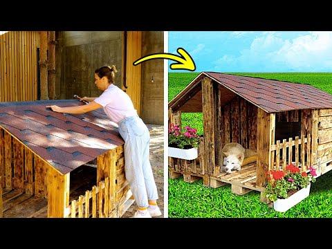 BUILDING THE PERFECT HOUSE FOR MY DOG! #Video