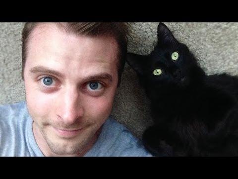 How Cats Show Love For Their Human