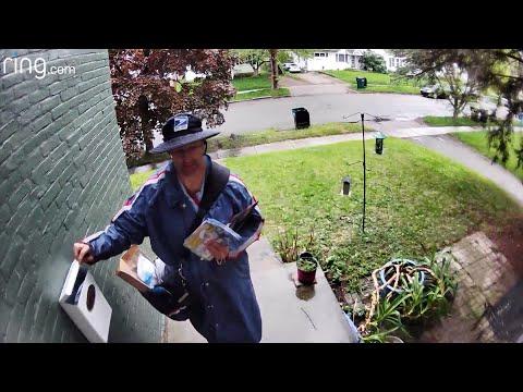 Hulk the Dog Doesn’t Scare This Super Chill Mailman #Video