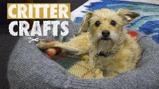 DIY Pet Sweater Beds | Critter Crafts