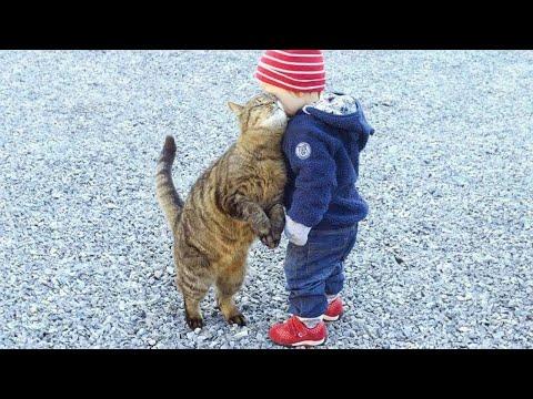 When you are my little friend - Cute Moments Cat and Human  #Video