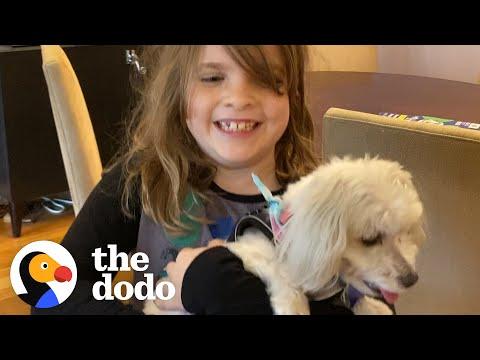 Dad Finds His Daughter The Perfect Rescue Dog #Video