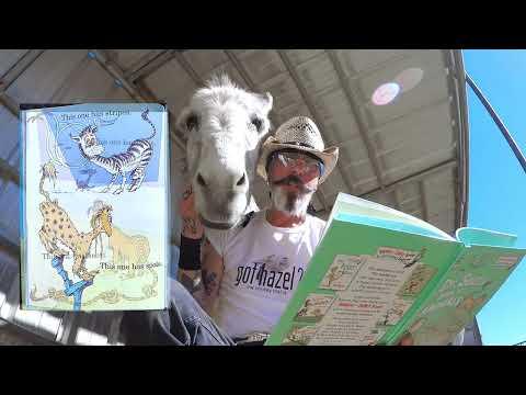 Story book time with Hazel the donkey #Video