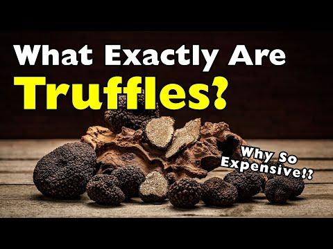 What Are Truffles and Why Are They So Expensive? #Video