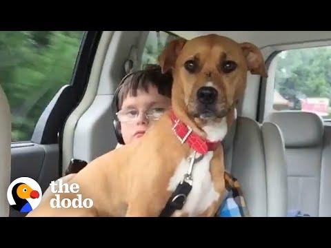 Pittie Opens Up The Whole World For This Kid  #Video