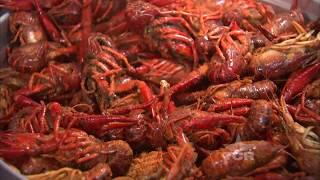 The Crawfish Shack (Texas Country Reporter)