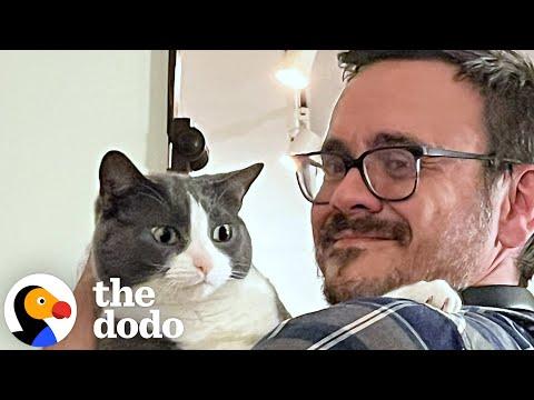 He Tried To Win Over His Girlfriend's Cat #Video