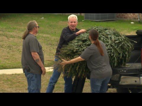 Christmas Tree Walking Sticks (Texas Country Reporter) #Video