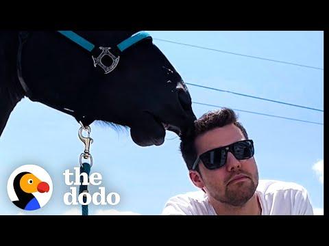 Horse Falls In Love With His Mom's Boyfriend  #Video