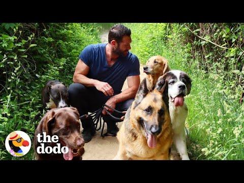 Hike With The World’s Best Dog Dad And His 9 Rescue Dogs!  | The Dodo Airbnb Experiences