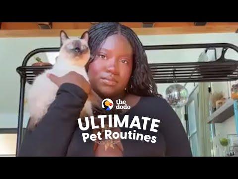 Very Chill Cat And His Mom Have Matching Personalities #Video