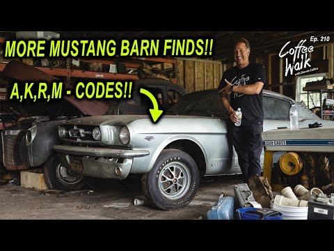 Barn Find: 4 Incredibly Rare Mustangs!! #Video