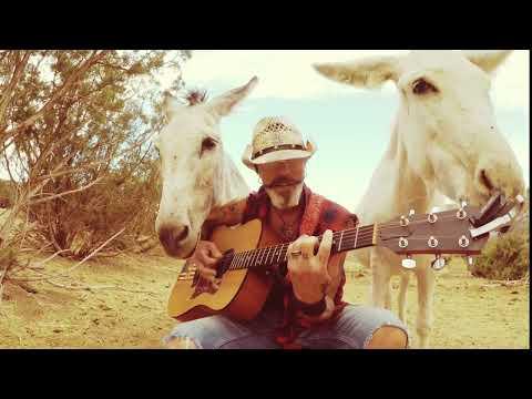 Just trying to sing to hazel the donkey #Video