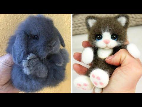 AWW SO CUTE! Cutest baby animals Videos Compilation Cute moment of the Animals - Cutest Animals #8