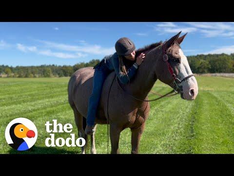 Anxious, Blind Horse With The Worst Luck Learns To Trust Again #Video