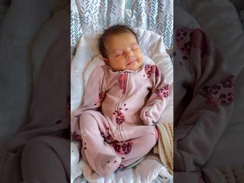 When you have a new sibling - Layla The Boxer #Video