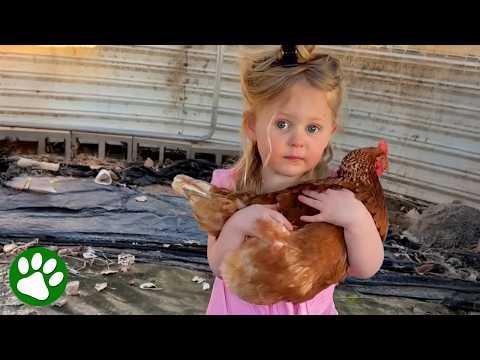 The cutest animal rescue you'll ever see #Video