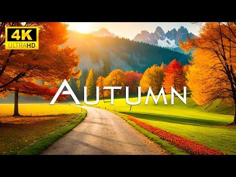 Enchanting Autumn Forests with Beautiful Piano Music 4K Autumn Ambience & Fall Foliage #Video