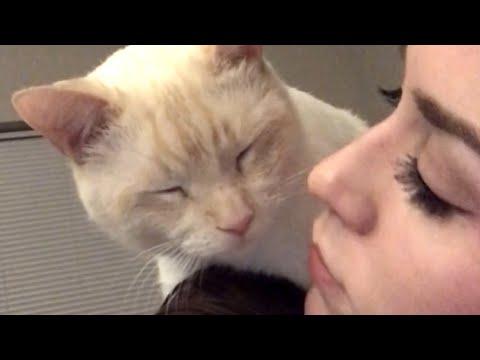 Senior rescue cat is obsessed with mom #Video