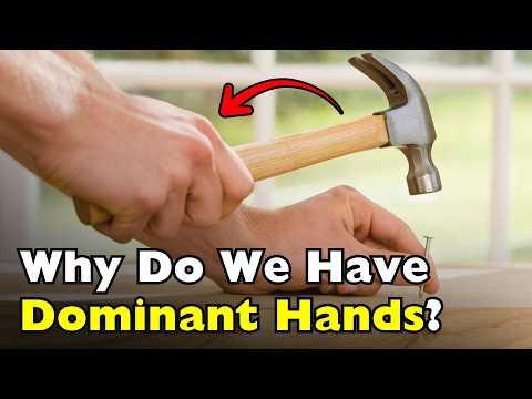 Why We Naturally Prefer One Hand Over the Other #Video