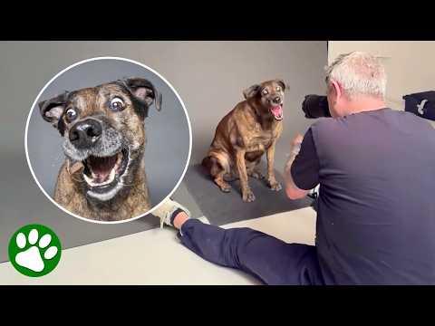 These Dogs’ Reactions To Treats Are Priceless #video