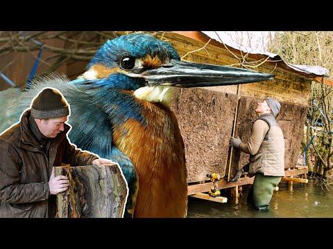 Building Nest Boxes for Owls, Kestrels & Kingfishers | Robert E Fuller #Video