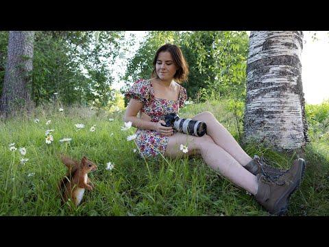 Living my Childhood Dream - Red squirrels in my Swedish garden #Video