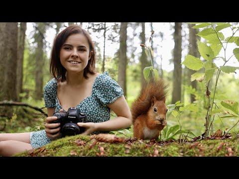 The Squirrel Forest is my Home. Life in Sweden. Dani Connor Wild #Video
