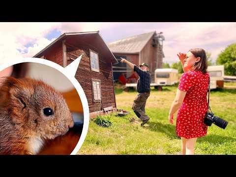 RESCUE MISSION: Baby Squirrels STUCK in a Barn | Dani Connor Wild #Video