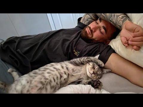 When the Universe Sends You A Sweet Cat #Video