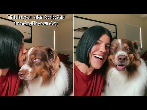 Kiss Your Dog On The Head And Record Their Reaction #Video