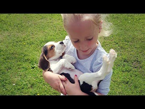 Surprising my Family With a New Puppy - Cute Puppy Surprise Video