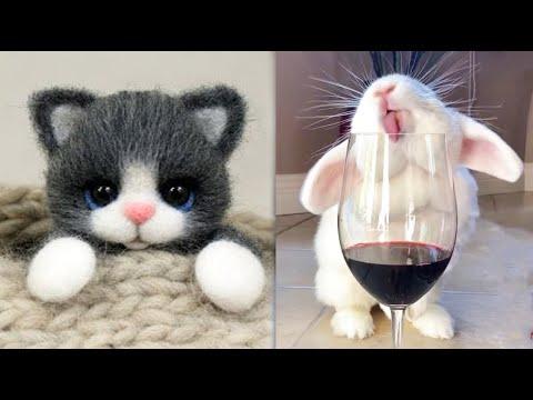 Cute baby animals Videos Compilation cute moment of the animals - Cutest Animals #33