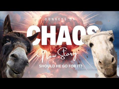 Should he go for it? #Video